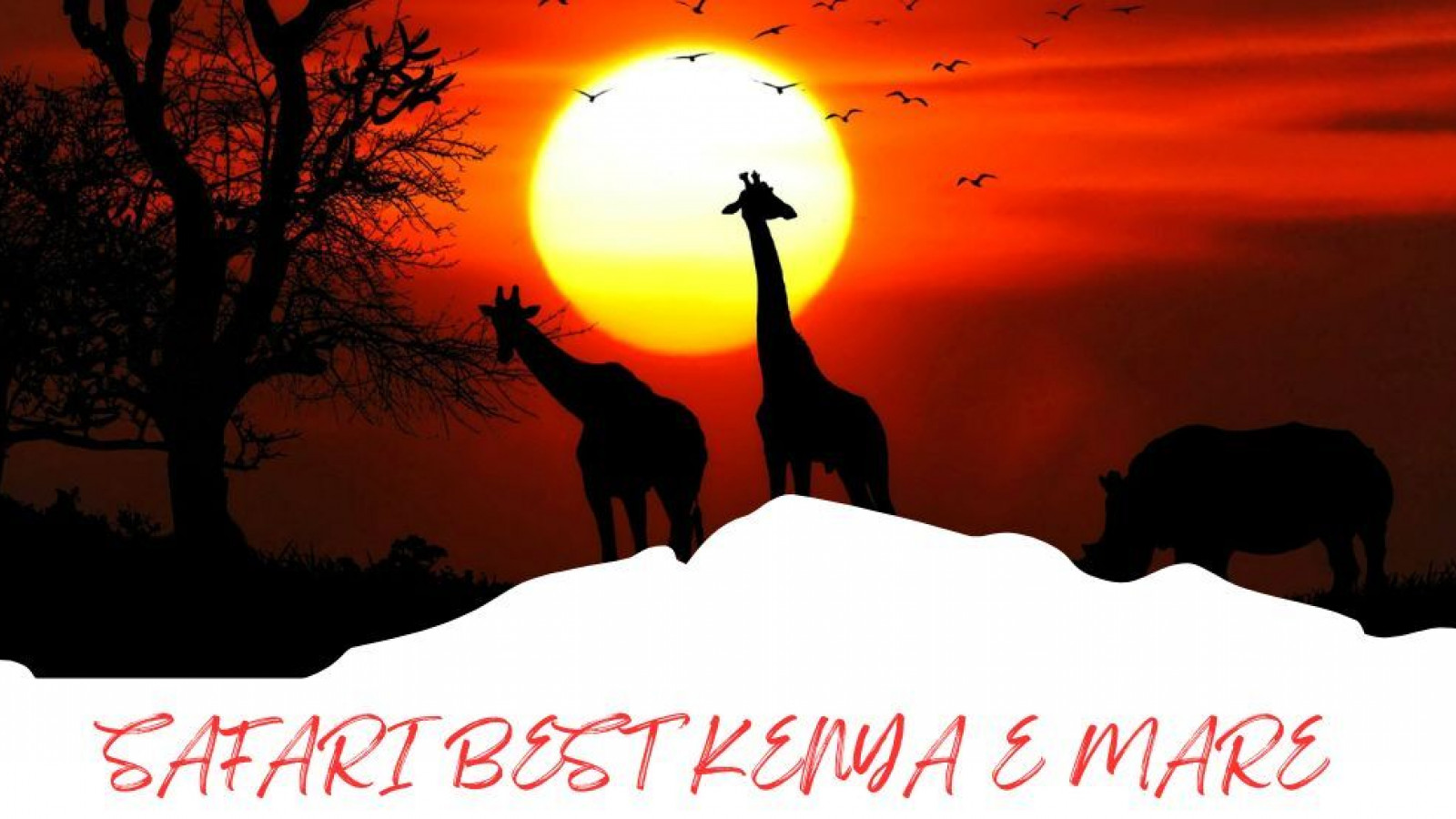 2025 africa best kenia e mare 25 IN2