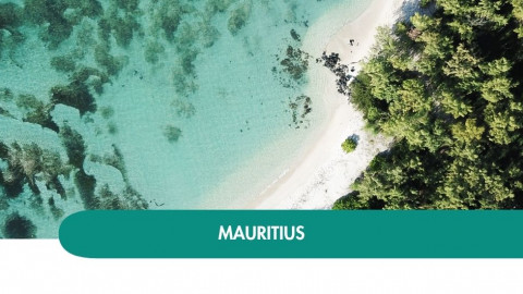 2026 mauritius capodanno T 29 12 IN2
