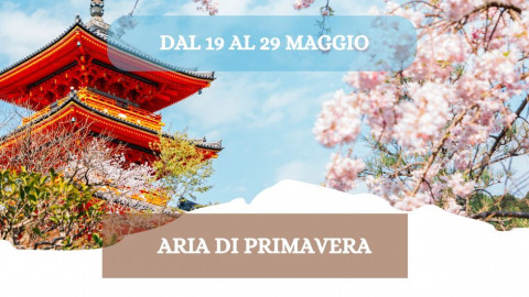2026 W giappone aria di primavera 19 05 26 IN2