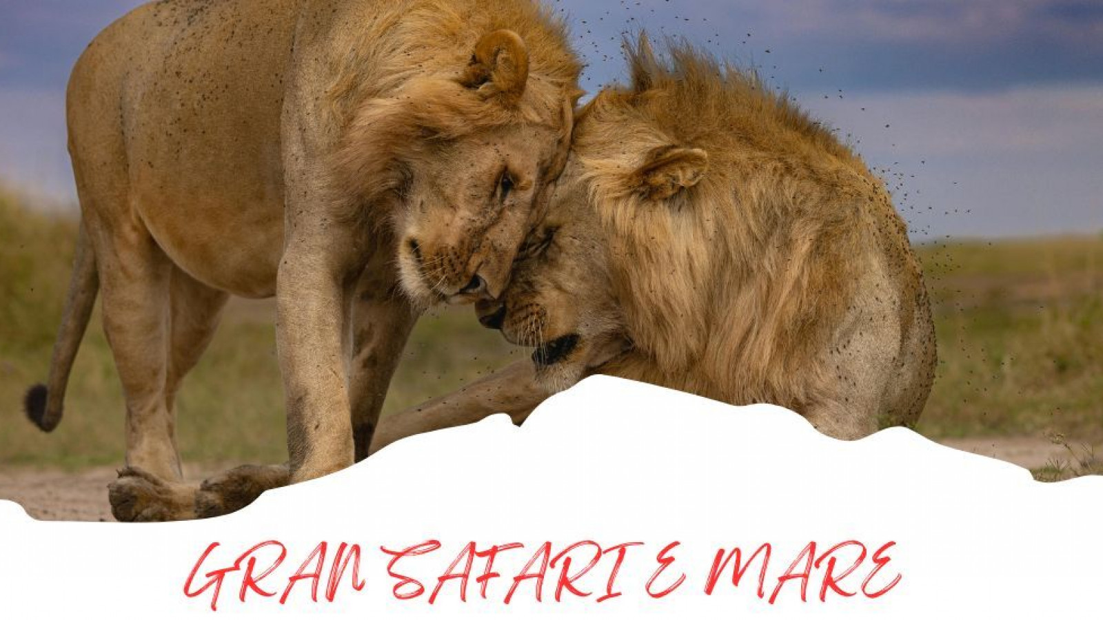 2025 africa gran safari e mare 25 IN2