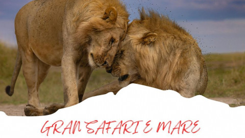 2025 africa gran safari e mare 25 IN2