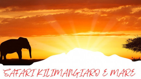 2025 africa kilimangiaro e mare 2025 IN2