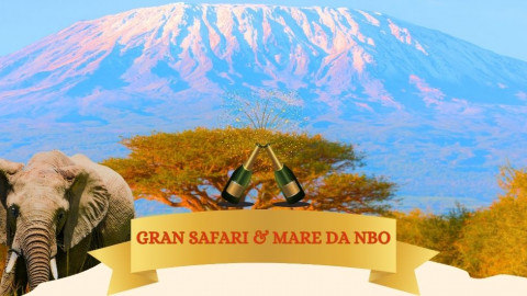 2025 africa gran safari e mare natale e capodanno IN2
