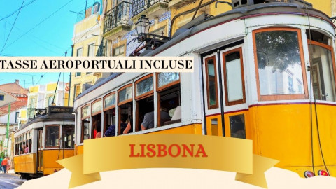 2025 lisbona immacolata 5 12 IN2