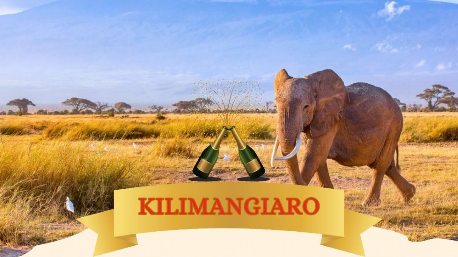 2025 africa kilimangiaro e mare natale e capodanno IN2
