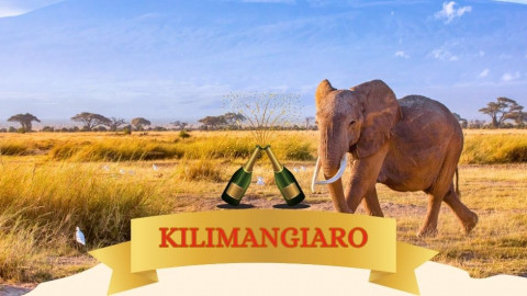 2025 africa kilimangiaro e mare natale e capodanno IN2