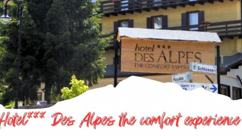 2025 trentino estate des alpes IN2