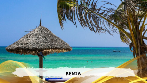 2026 kenya 9,14 08 T IN2