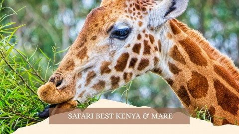 2025 africa best kenia e mare gennaio marzo 26 IN2