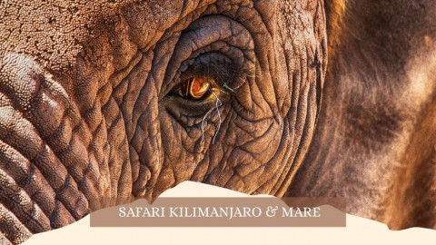 2025 africa kilimangiaro e mare gennaio marzo 2025 IN2