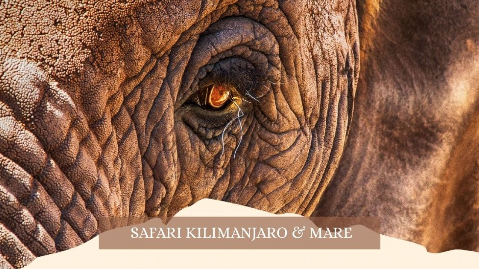 2025 africa kilimangiaro e mare gennaio marzo 2025 IN2