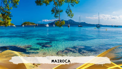 2026 maiorca 11 agosto napoli T IN2