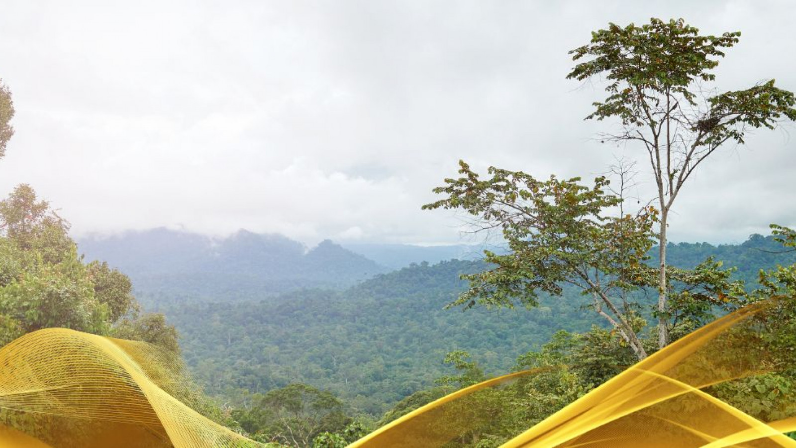 2026 malesia tour mare e altopiani 9 08 O IN2