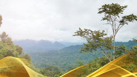 2026 malesia tour mare e altopiani 9 08 O IN2