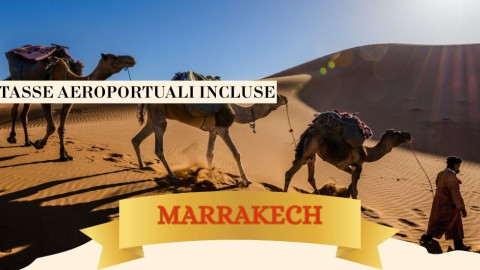 2025 marrakech immacolata 5 12 25 IN2