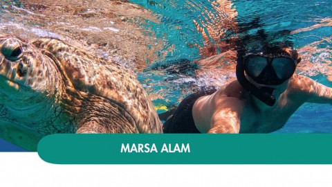2026 marsa alam halloween T IN2