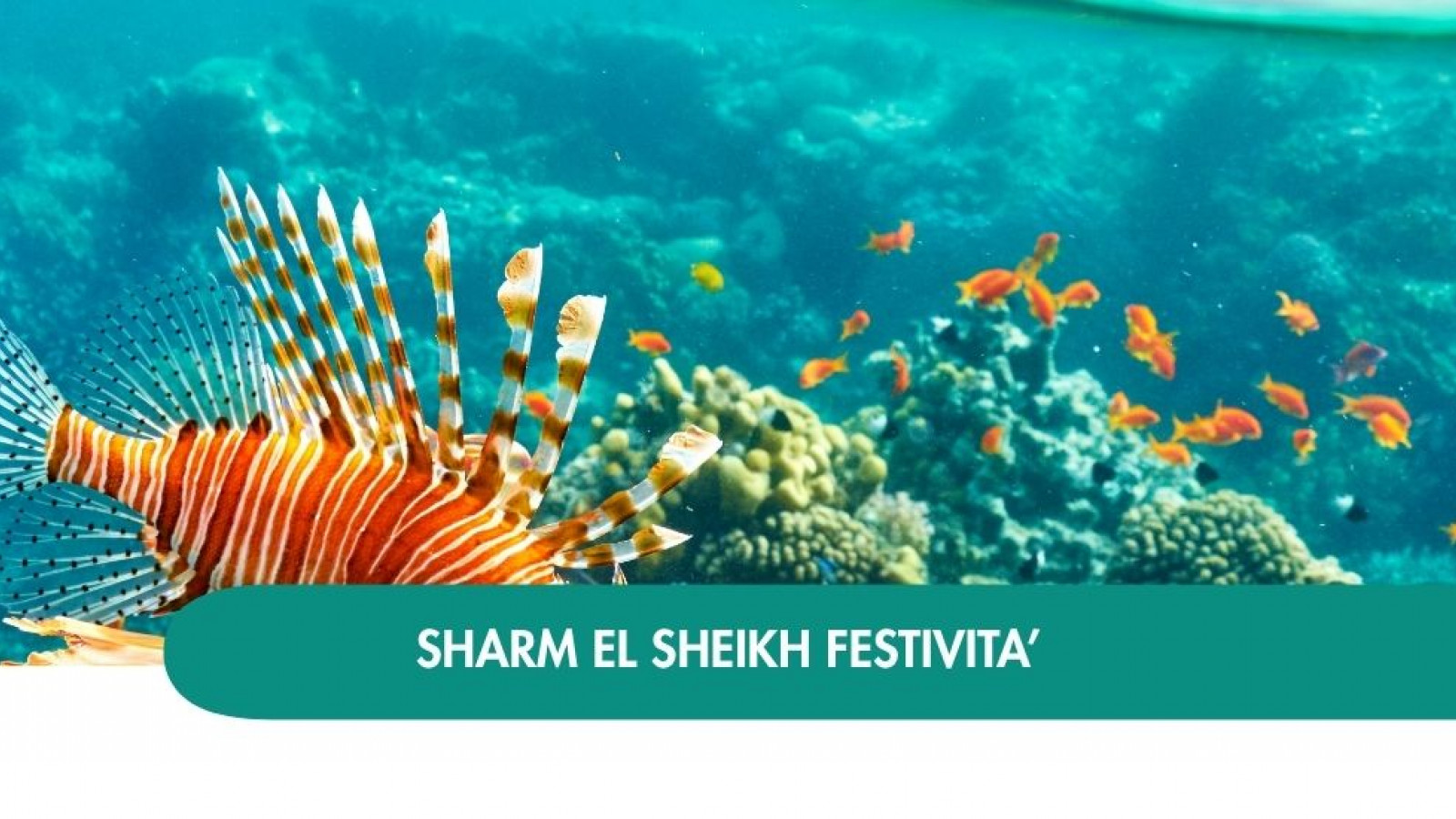2026 sharm el sheikh queen festivita T IN2