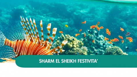 2026 sharm el sheikh queen festivita T IN2