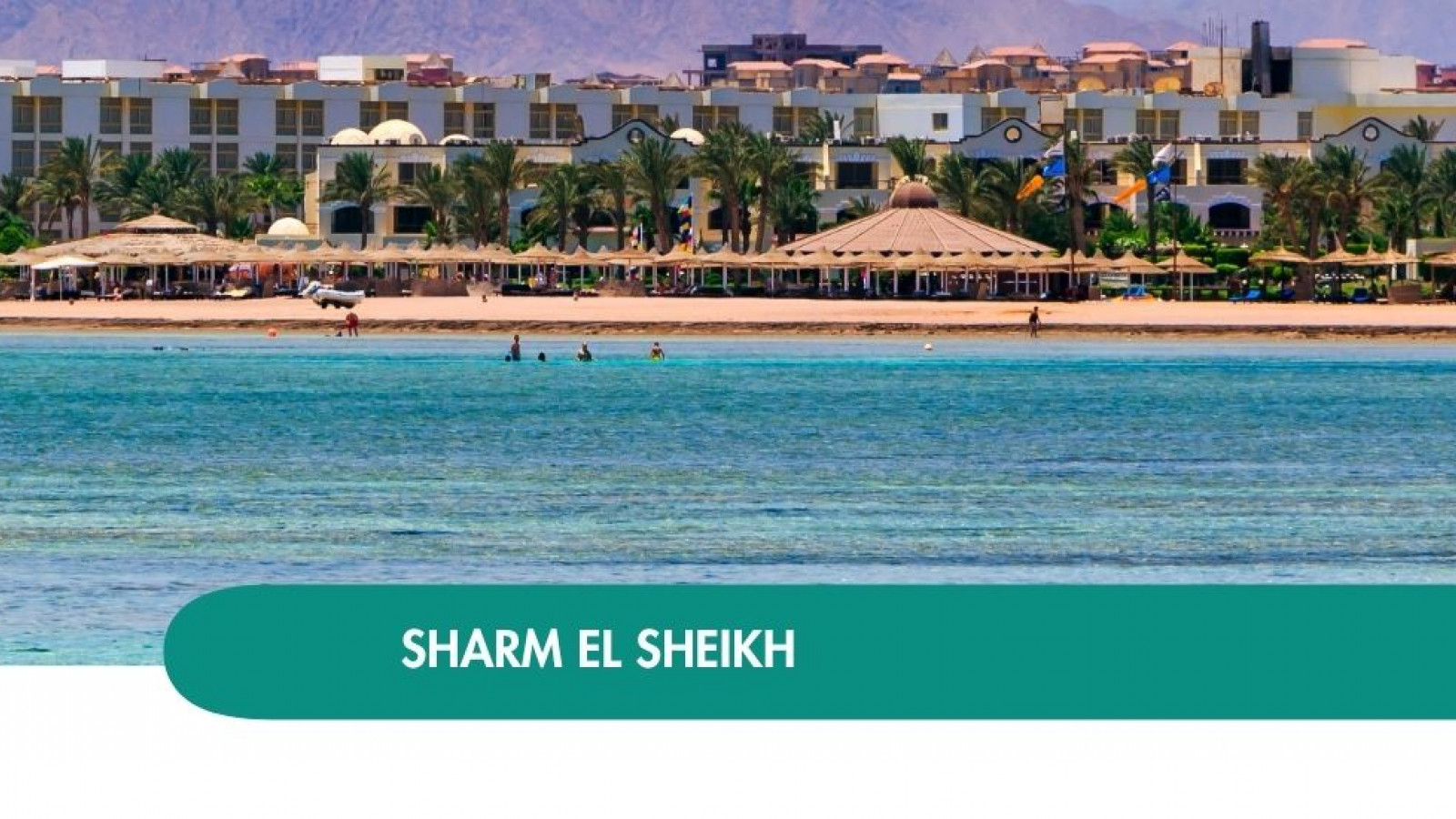 2026 sharm el sheikh queen immacolata T IN2