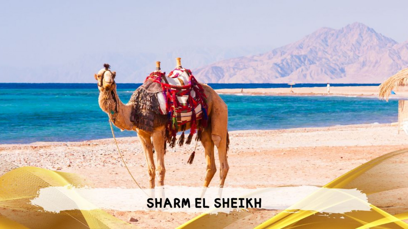 2026 sharm el sheikh da roma queen T IN2