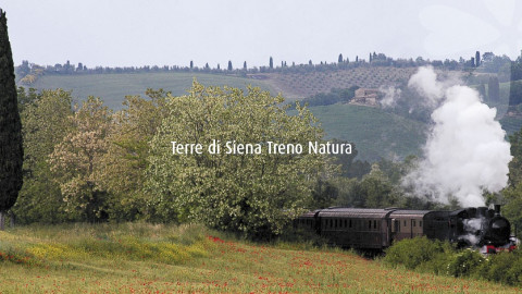 2024 W treno natura siena montepulciano 1/06 IN2