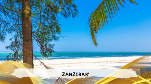 2026 zanzibar 11 08 T IN2